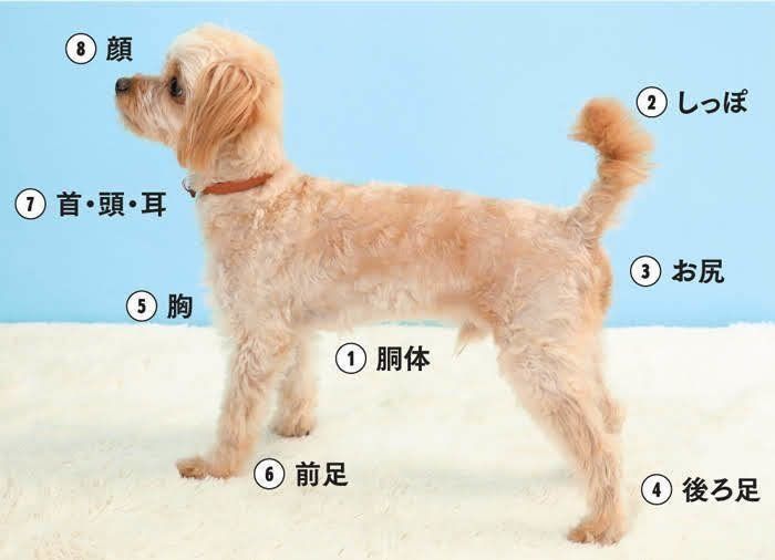 全身を拭く場合の順番