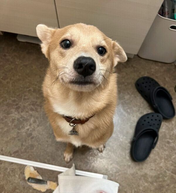 出待ちをするあさぎちゃん