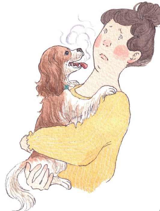 イラスト/フジマツミキ