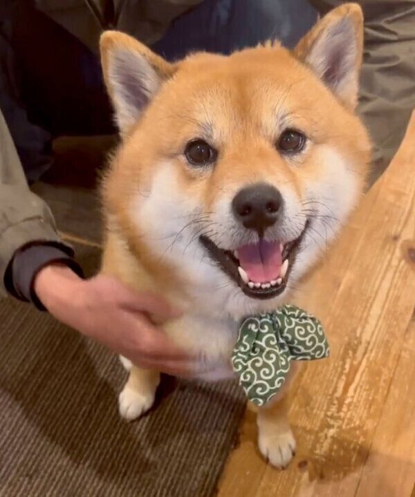 笑顔が可愛いおにぎりくん