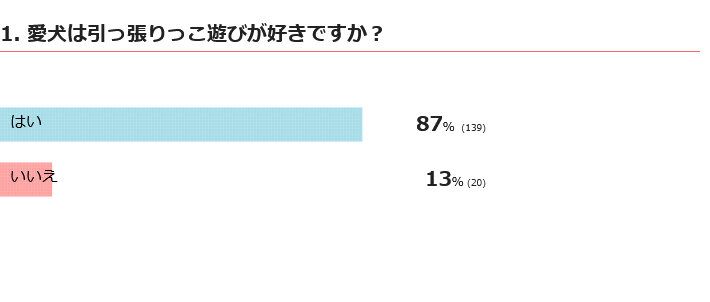 愛犬は引っ張りっこ遊びが好き？