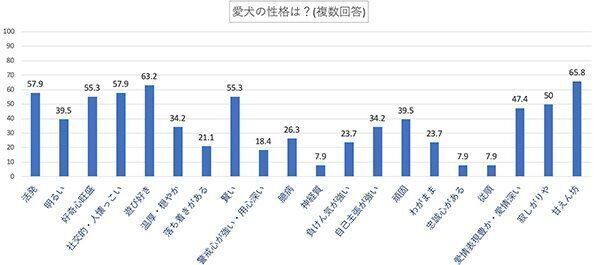 愛犬の性格は？