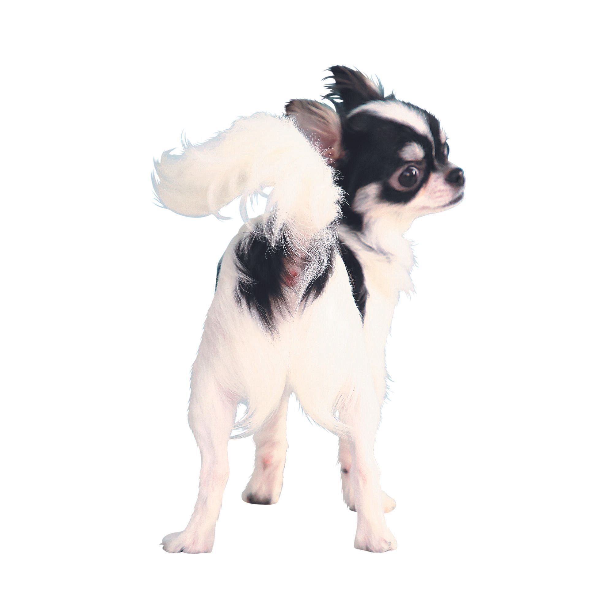 撮影／尾﨑たまき