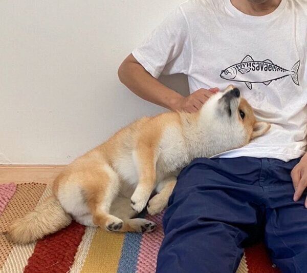 甘えるマヤちゃん