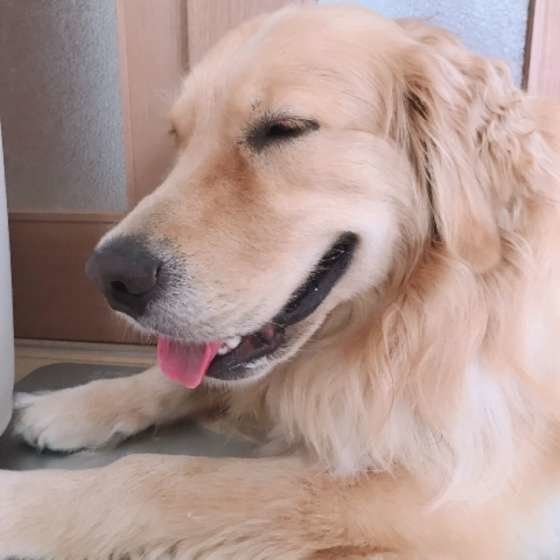 笑うちょび太くん♡