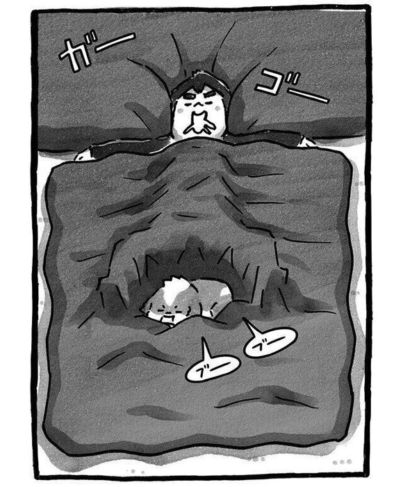 シーズー犬マンガてんぽshihtzu