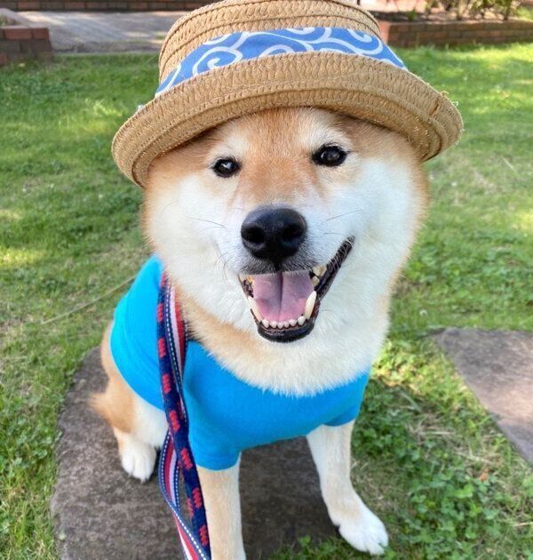 帽子がお似合いのぽてとくん