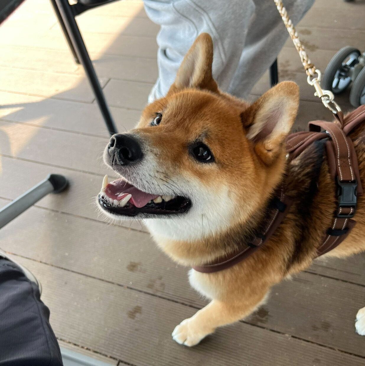 ニコニコ顔のくまくん