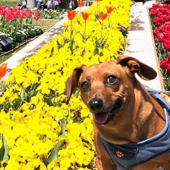 お出かけ大好き♡柚花ちゃん