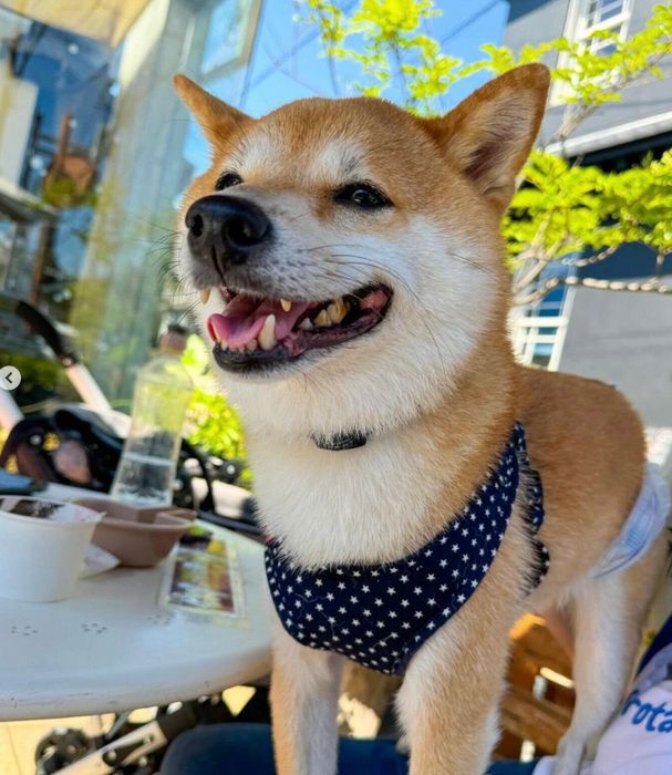 お出かけを楽しむころたくん