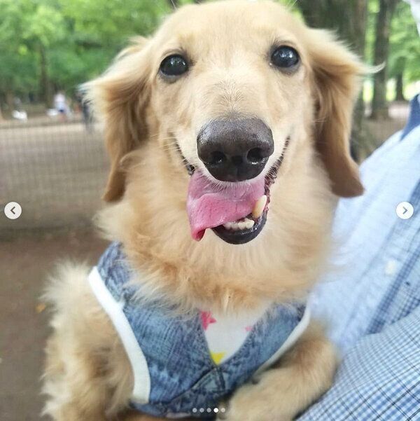 笑顔の伶音ちゃん