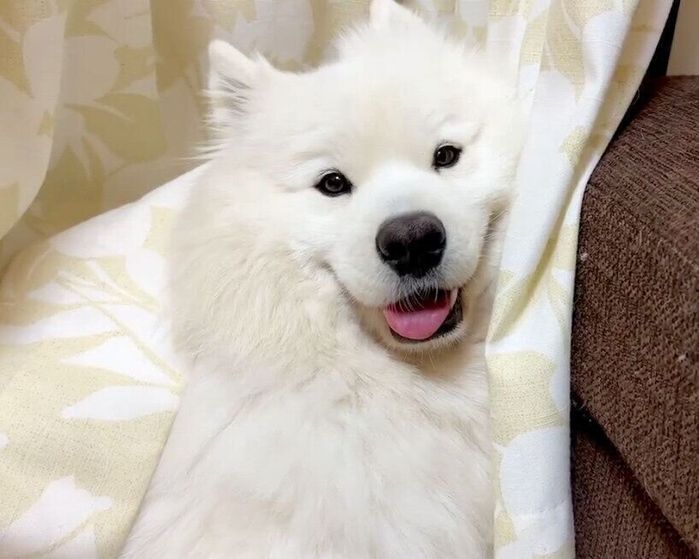 ゆっくりと目を開けるサニーくん