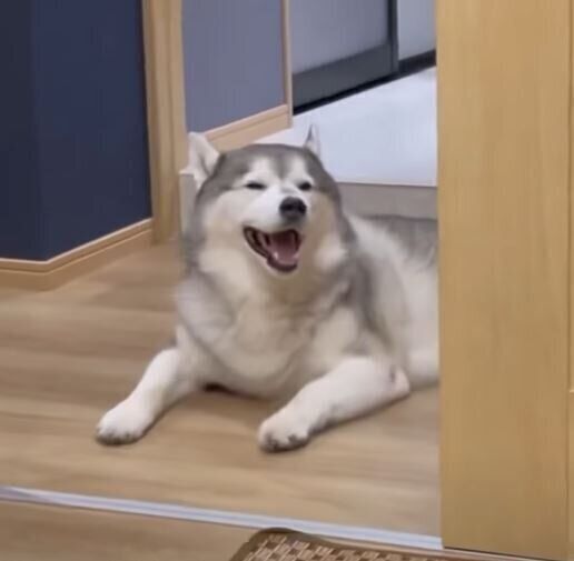 ニコニコの文太くん