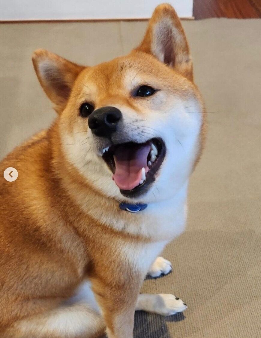 笑顔のまるちゃん