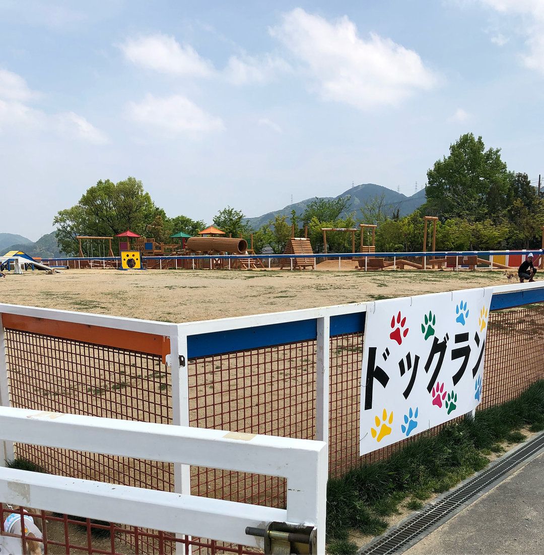 ワールド牧場内のドッグラン