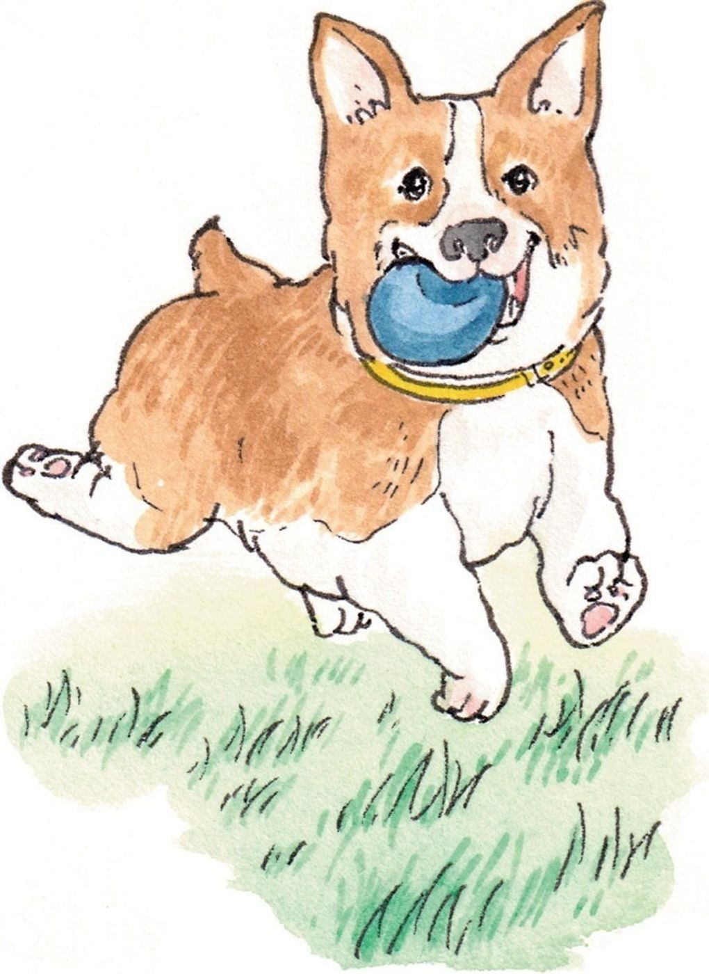 肥満の犬には デブ菌 が多い 意外と知らない犬の肥満 いぬのきもちweb Magazine 肥満の犬には デブ菌 が多い 意外と知らない犬の肥満 いぬのきもちweb Magazine