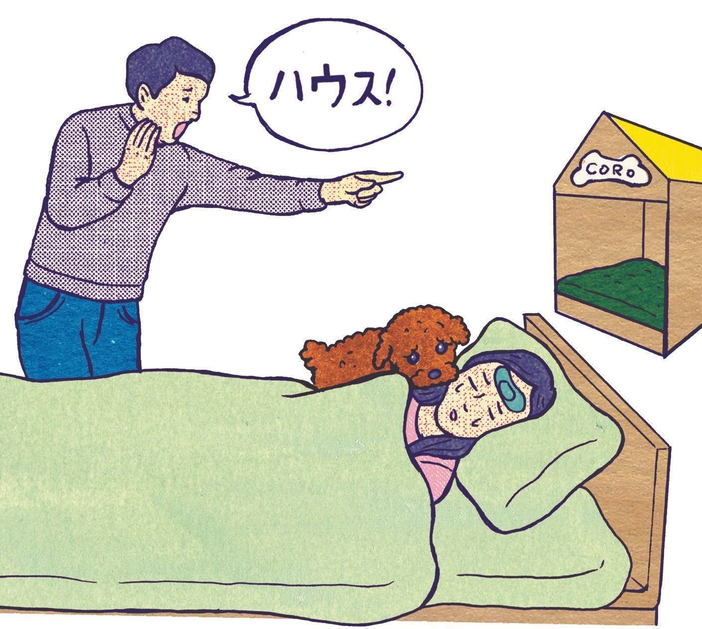 イラスト／泰間敬視