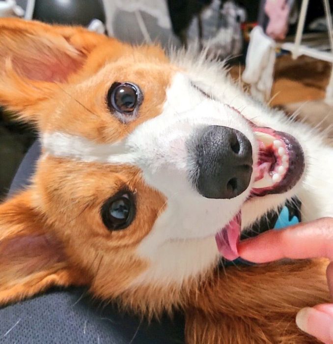 楽しそうなうなぎちゃん