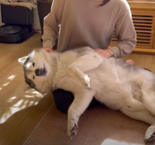 とろける文太くん