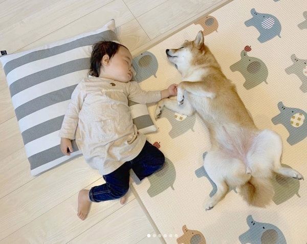 寄り添って眠る花子ちゃんとモモ子ちゃん