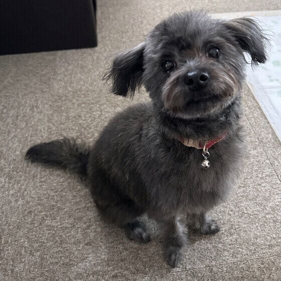 MIXの望叶.もかくん