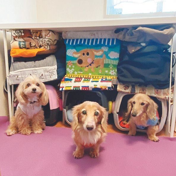 写真提供／浜田あゆりさん