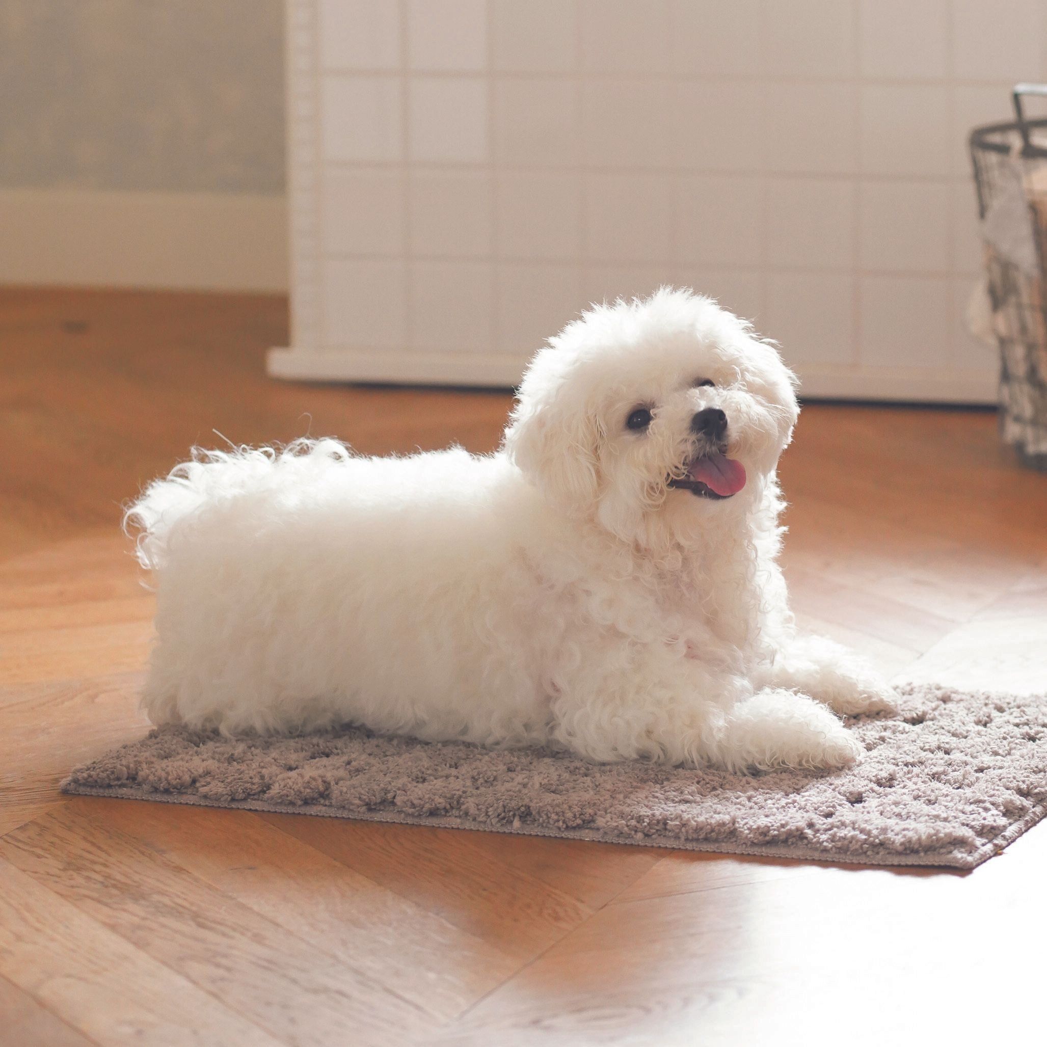 お手入れはルーティン化することでラクになる！