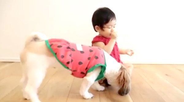 ブロッコリーを食べるシー・ズーと女の子