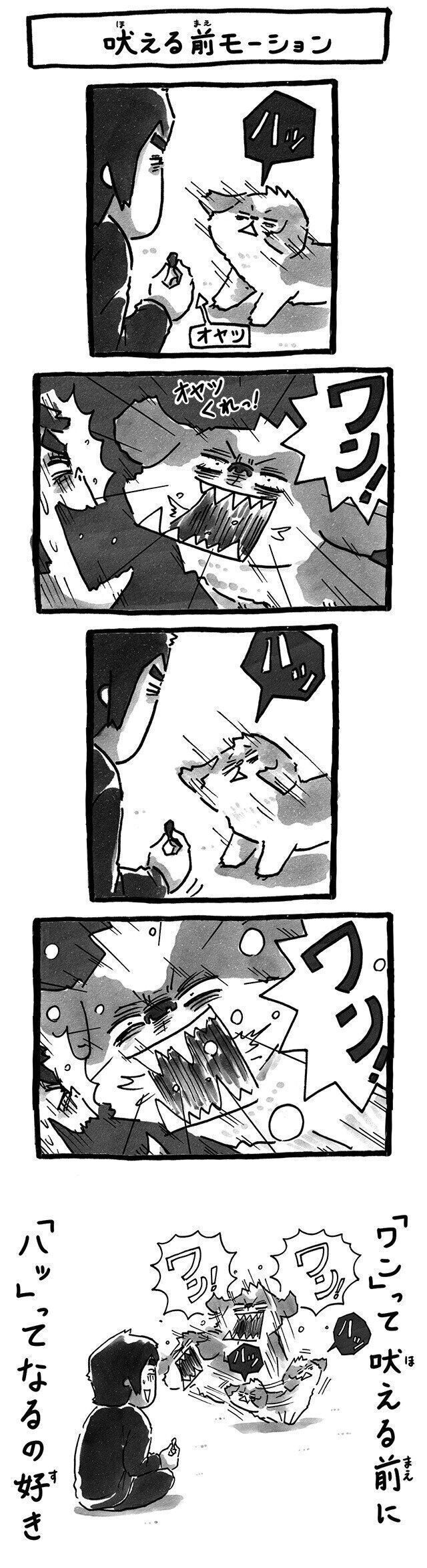 シーズー犬マンガてんぽshihtzu