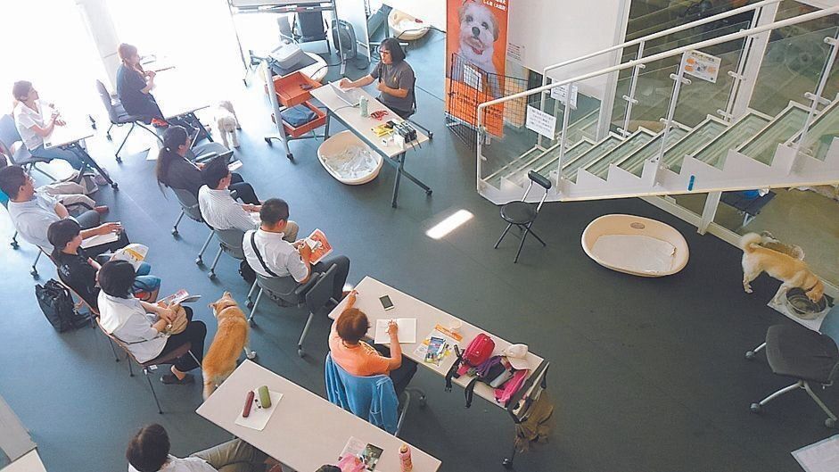 代表の有馬さんは、聴導犬を広めるPR活動にも力を入れ、本部をはじめ全国で講演も行っています