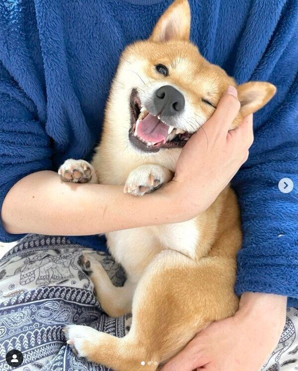 笑顔のうにくん