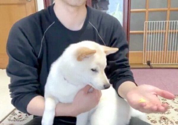 正解を外し、絶望するはるちゃん