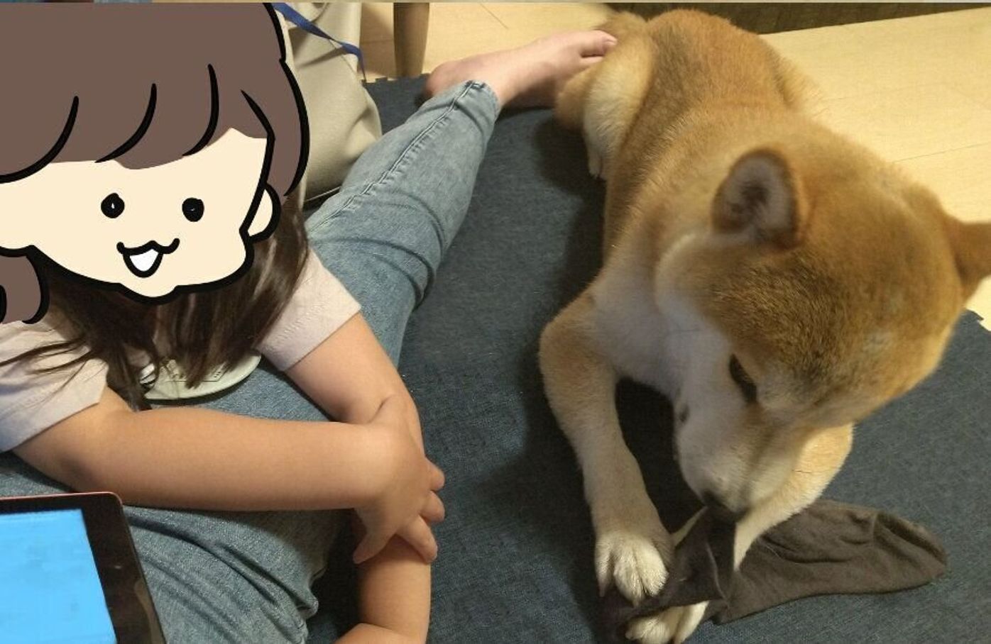 雨が続くと困る 娘と柴犬タロさんのしぐさ 連載 モフモフ柴とプニプニ娘 第124話 いぬのきもちweb Magazine 雨が続くと困る 娘と柴犬タロさんのしぐさ 連載 モフモフ柴とプニプニ娘 第124話 いぬのきもちweb Magazine