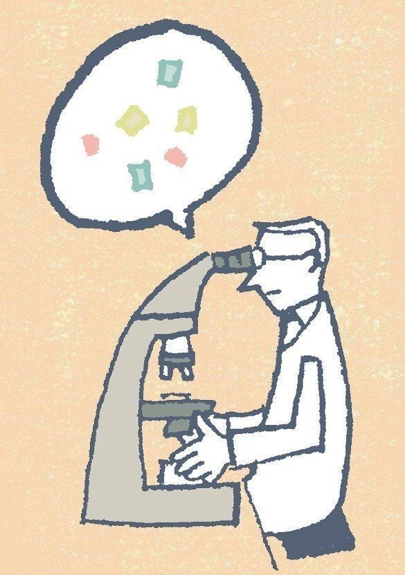 イラスト／谷山彩子