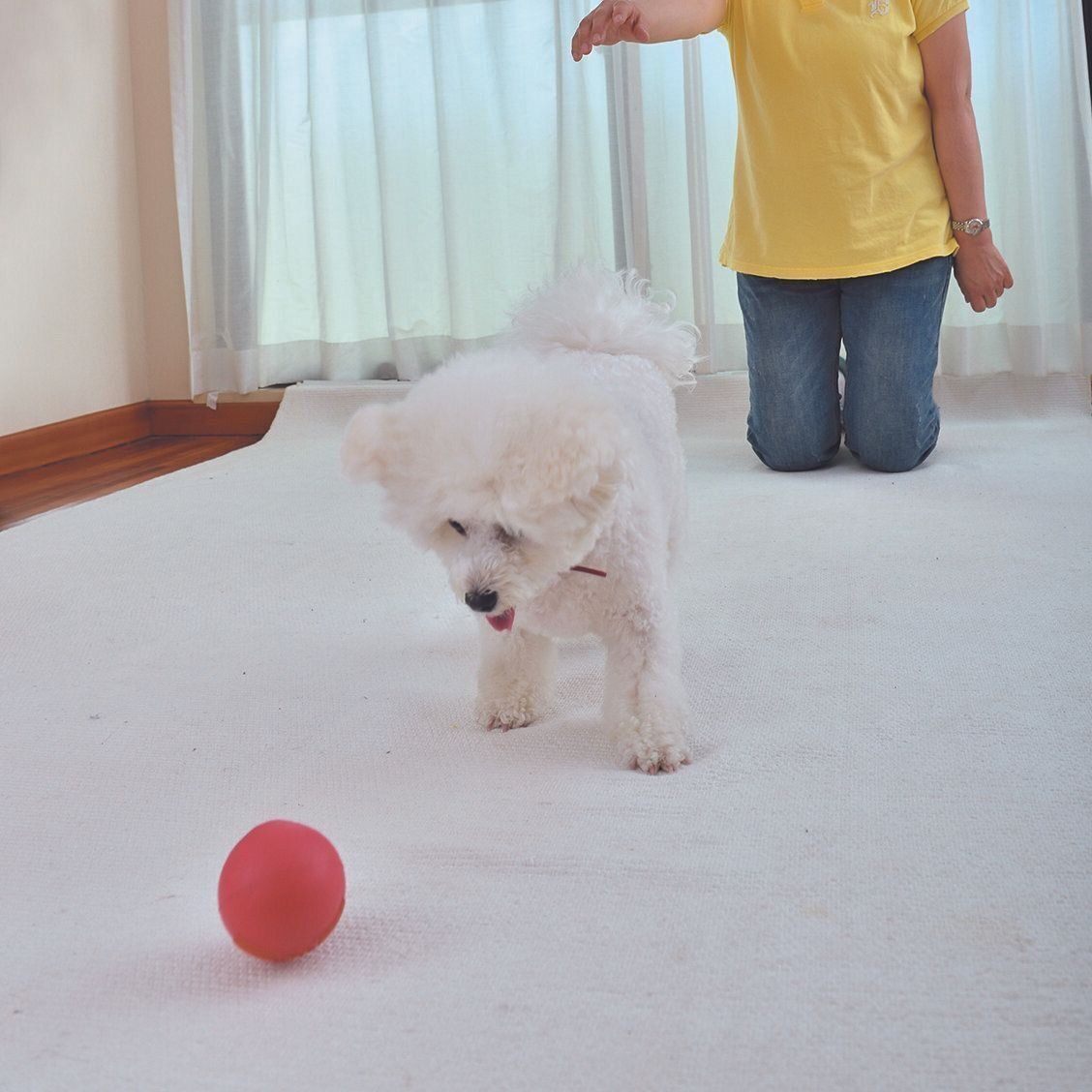 撮影／佐藤正之