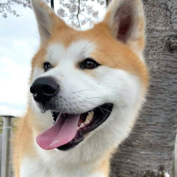 笑顔が可愛い薫くん