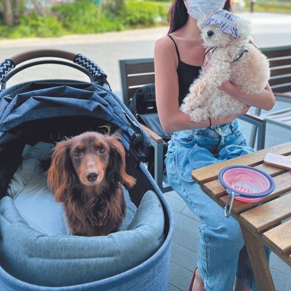 Uさんはいつも２頭といっしょに外出します。お気に入りのスポットのひとつ、二子玉川の公園にみんなで行ったとき