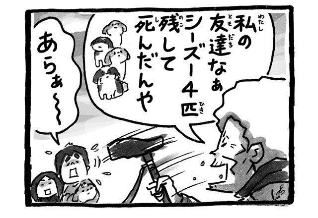 シーズー犬マンガてんぽshihtzu