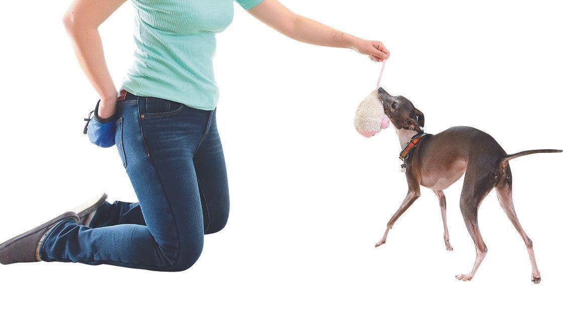 撮影／尾﨑たまき