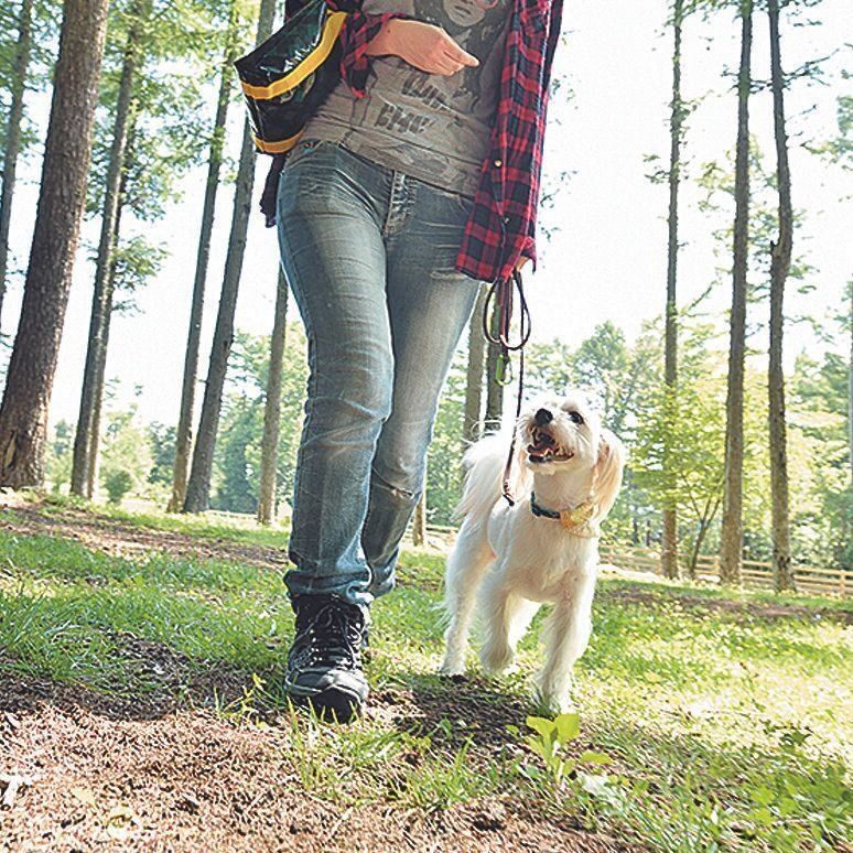 撮影／尾﨑たまき