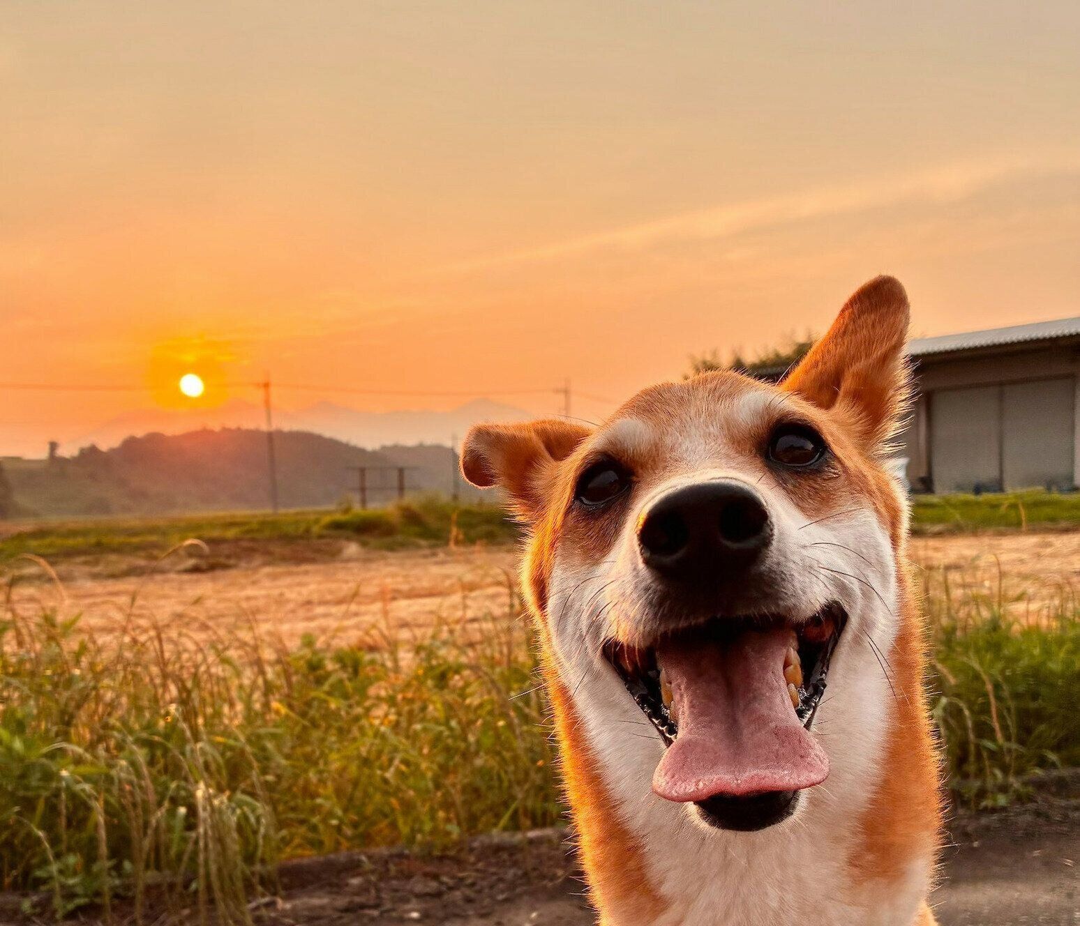 ニコニコ顔が可愛いルークくん