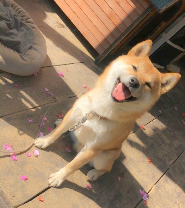 笑顔がかわいいそらくん