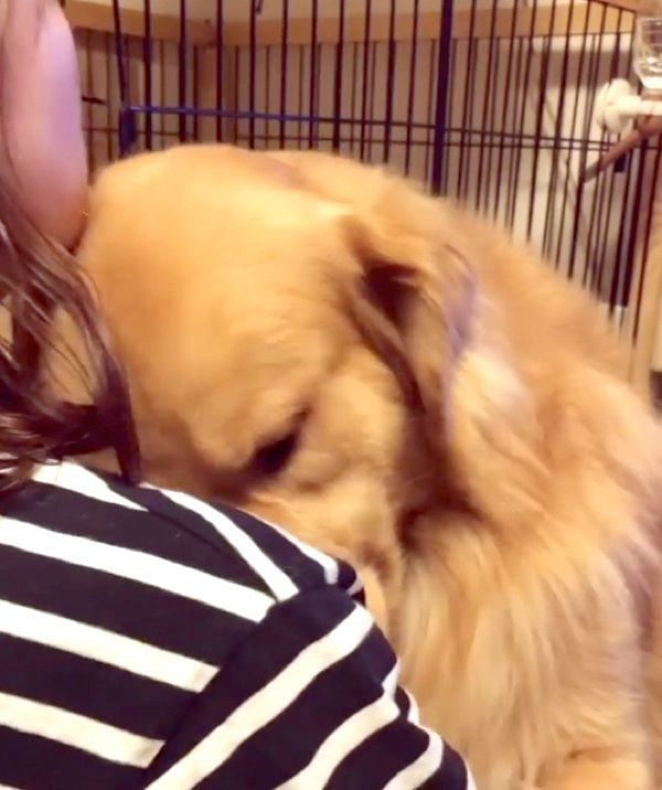 飼い主さんに「大好き」を伝える福ちゃん