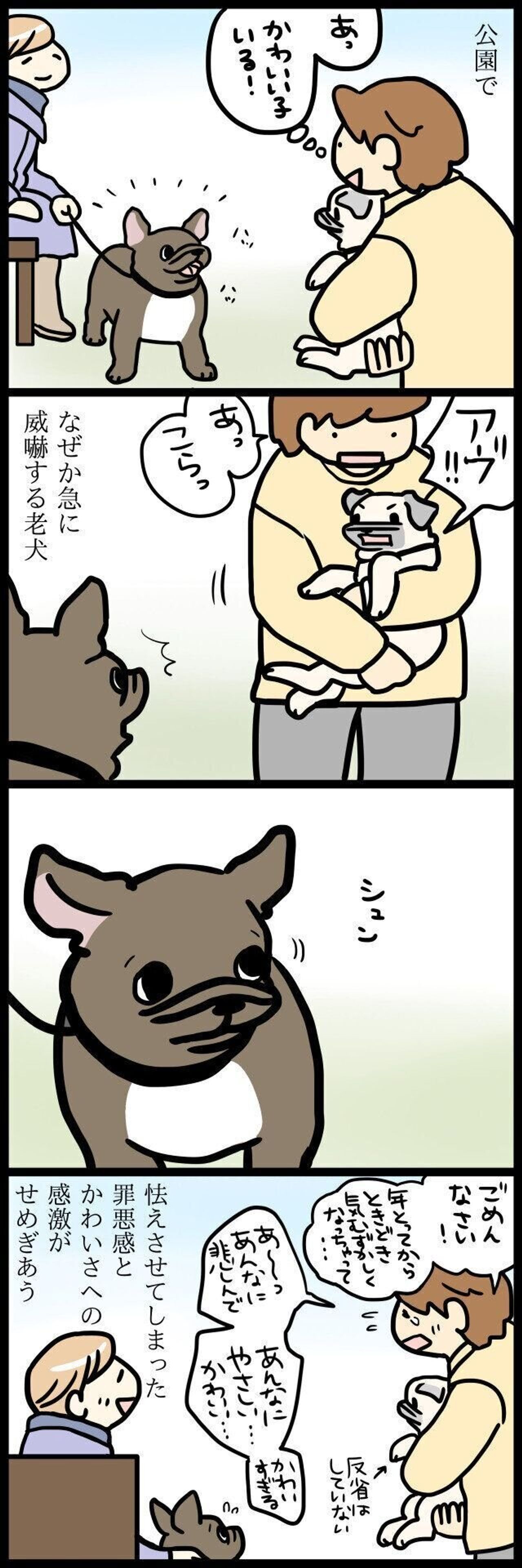 急に怒りんぼうになってしまったパグ犬めー 罪悪感と感激がせめぎ合う飼い主の心境 連載 パグ犬 めー Vol 129 いぬのきもちweb Magazine 急に怒りんぼうになってしまったパグ犬めー 罪悪感と感激がせめぎ合う飼い主の心境 連載 パグ犬 めー Vol 129 いぬのきもちweb Magazine