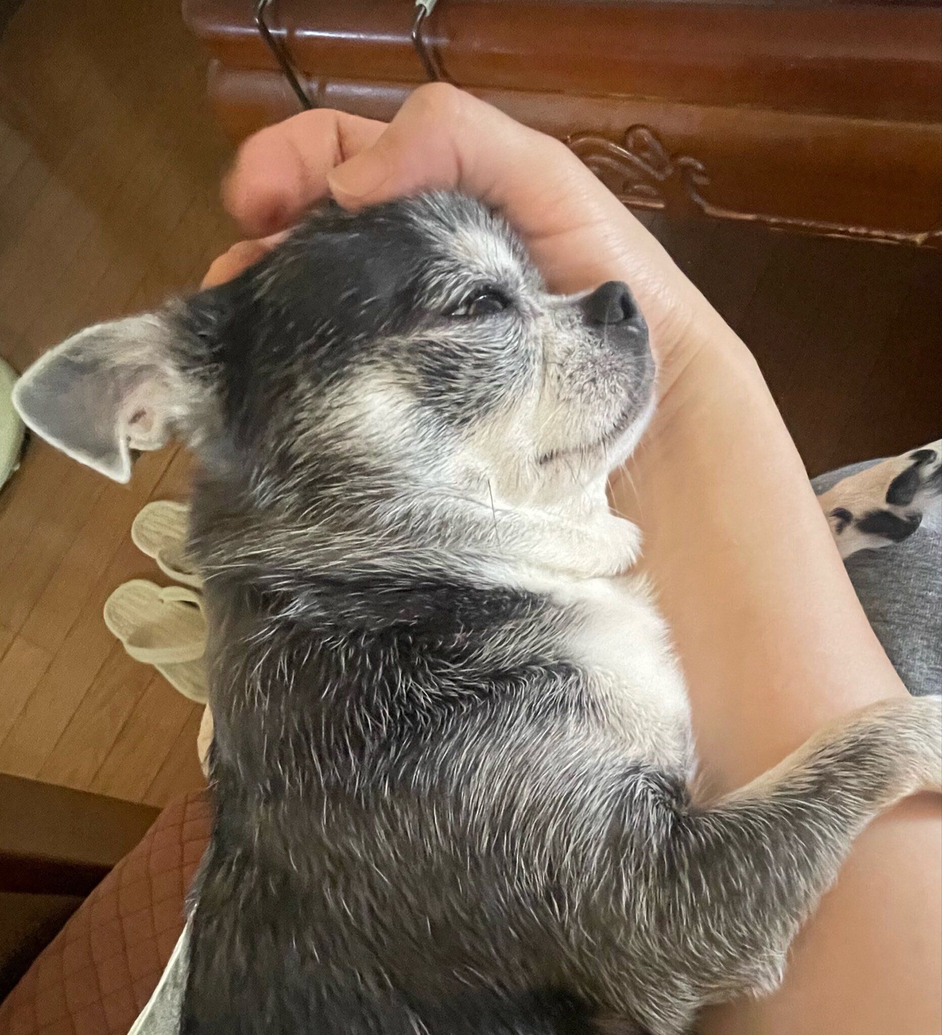眠そうな様子のつぶしゃん