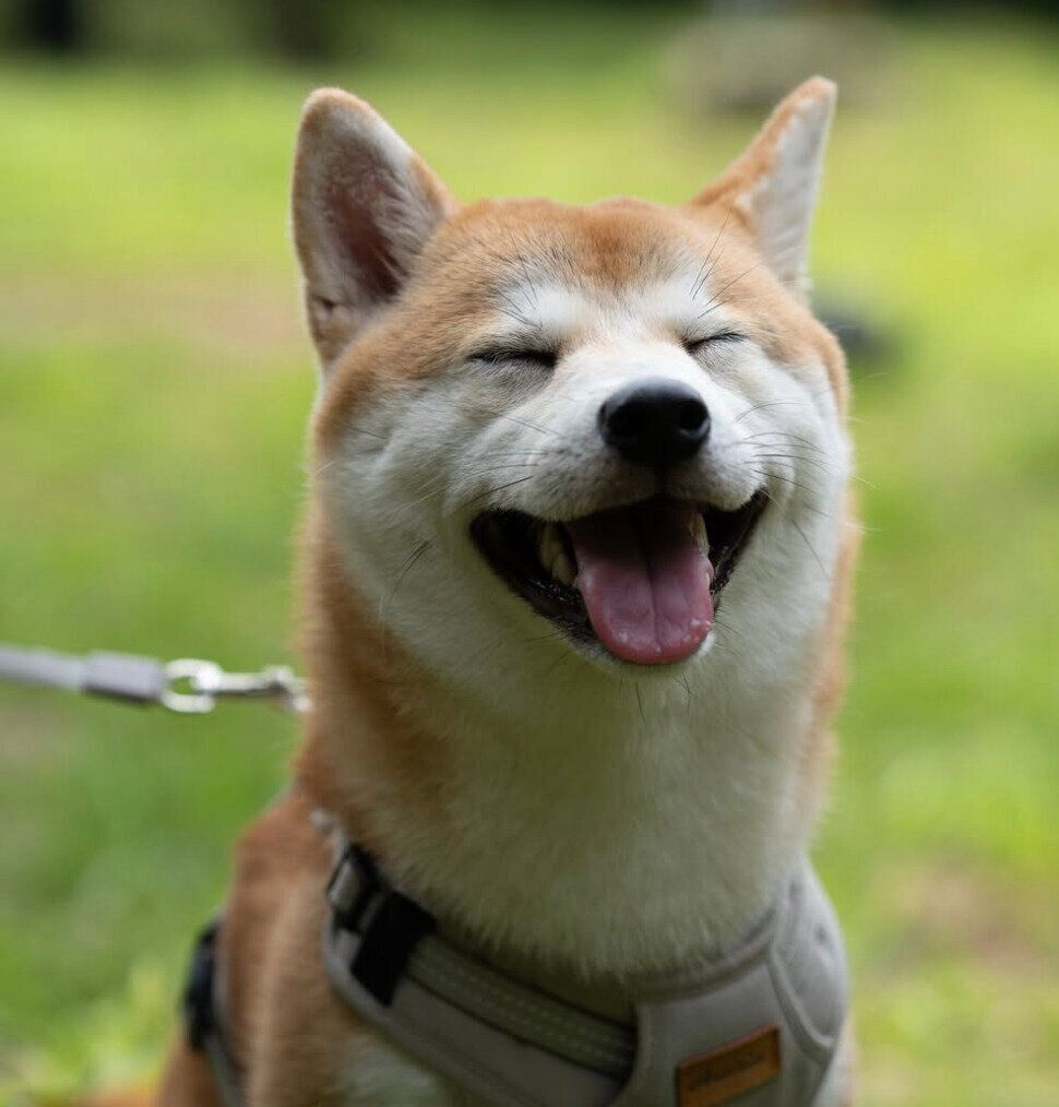 1才になったいとちゃん