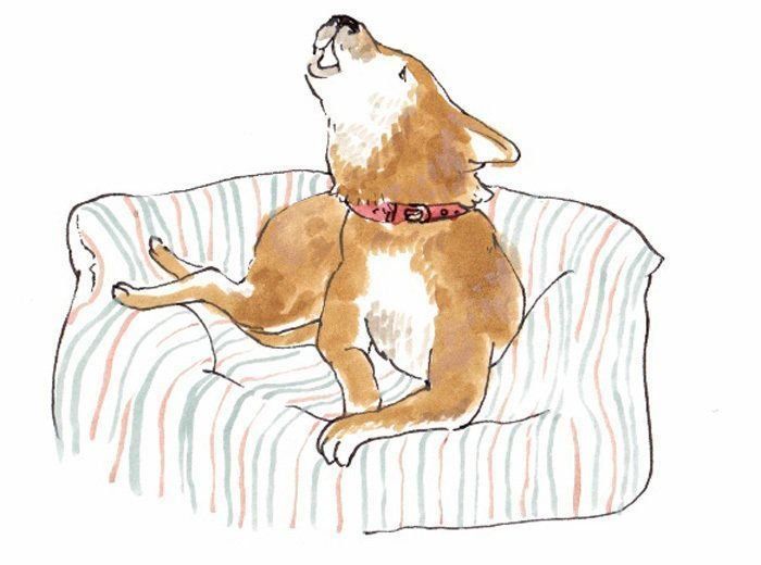 イラスト／フジマツミキ