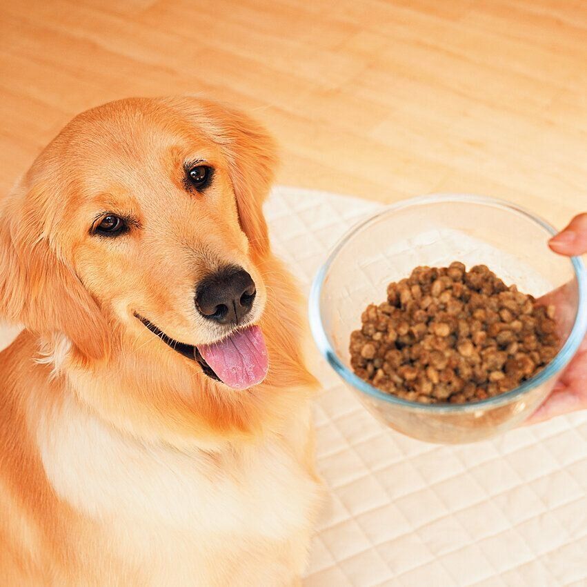 撮影／殿村忠博