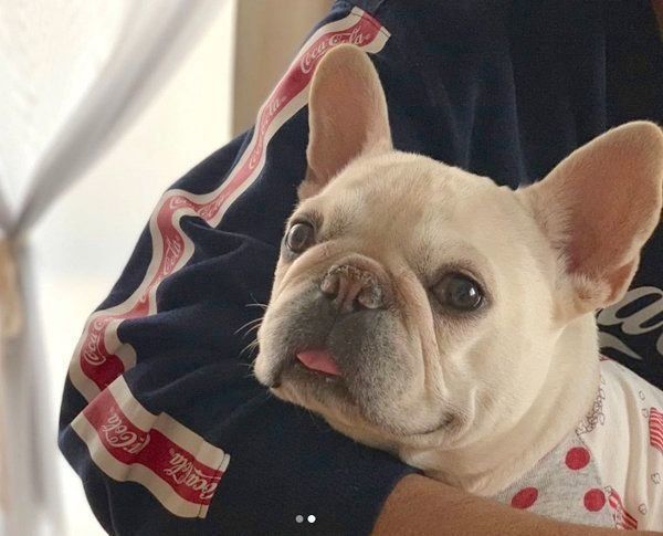 抱っこされるマシューくん