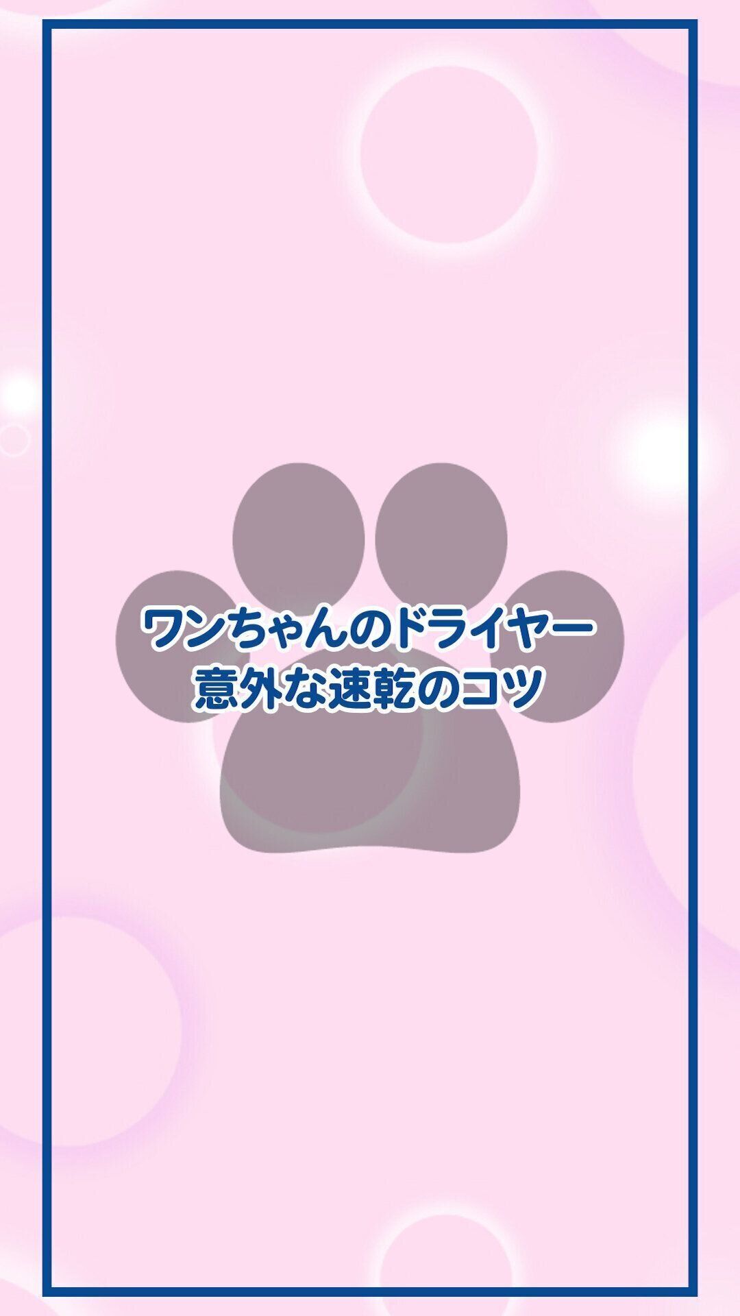 ワンちゃんのドライヤー 意外な速乾のコツ